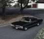 SPN_1049.jpg