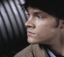 SPN_1110.jpg
