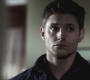SPN_0135.jpg