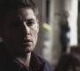 SPN_0246.jpg