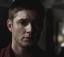 SPN_0311.jpg