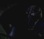SPN_0522.jpg