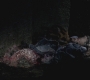 SPN_0532.jpg