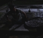 SPN_0545.jpg