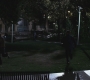 SPN_0558.jpg