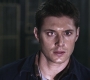 SPN_0582.jpg