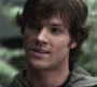 SPN_1024.jpg