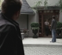 SPN_1046.jpg