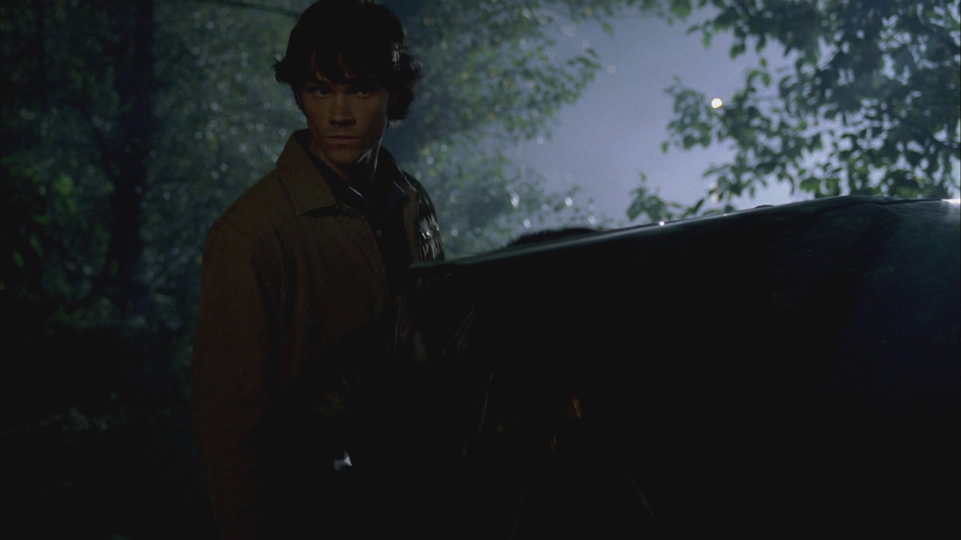 SPN_0411.jpg