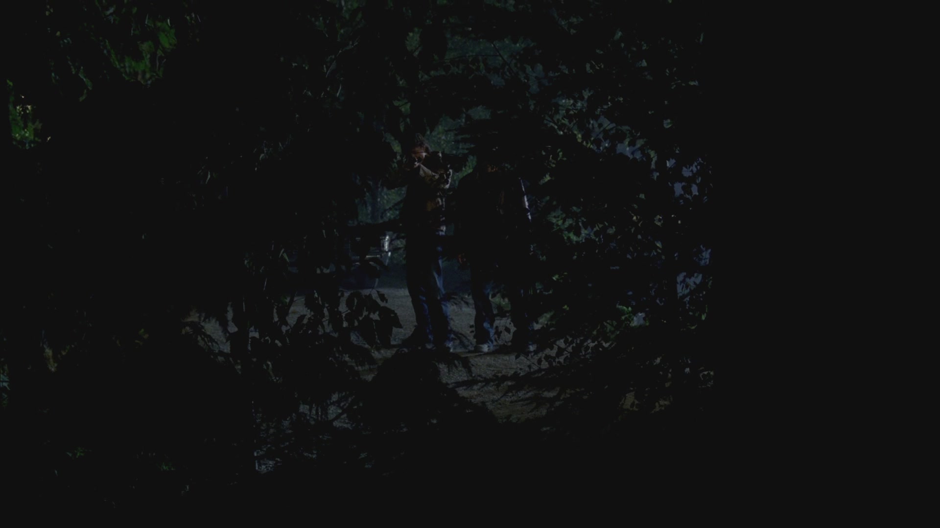SPN_0433.jpg