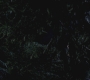 SPN_0430.jpg