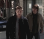 SPN_0480.jpg