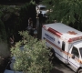 SPN_0548.jpg