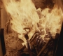 SPN_0723.jpg