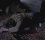 Filename=SPN_0964.jpg
Filesize=135KiB
Dimensions=1920x1080
Date added=Sep 28, 2021 SPN_0964.jpg