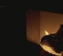 Filename=SPN_1007.jpg
Filesize=90KiB
Dimensions=1920x1080
Date added=Sep 28, 2021 SPN_1007.jpg