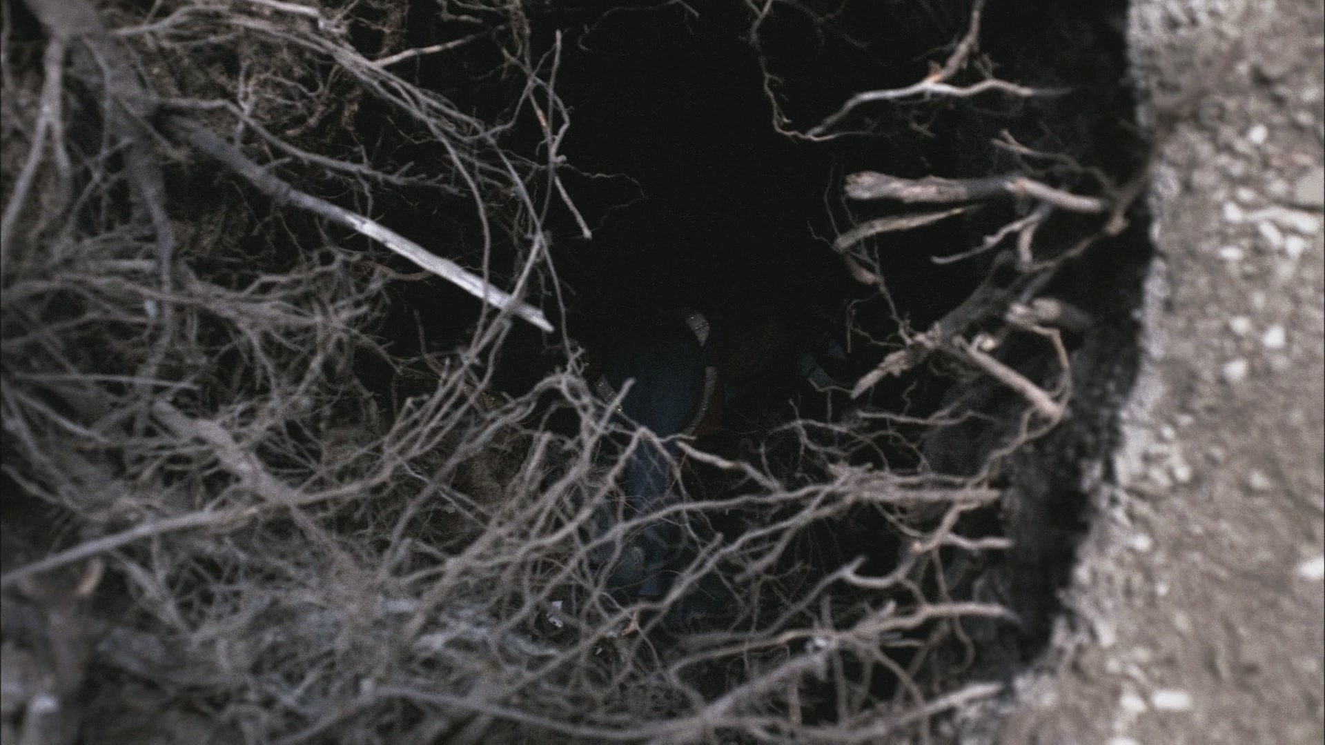 SPN_0026.jpg