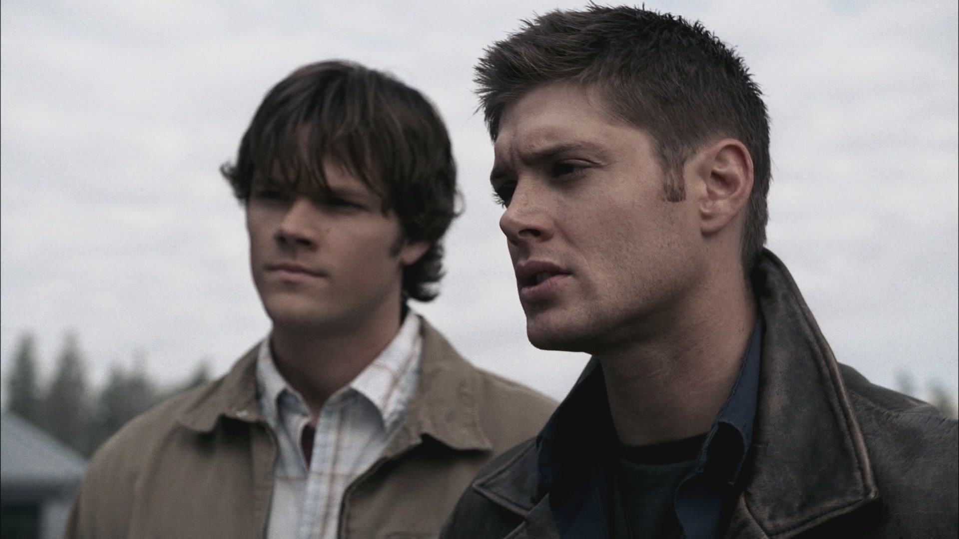 SPN_0102.jpg