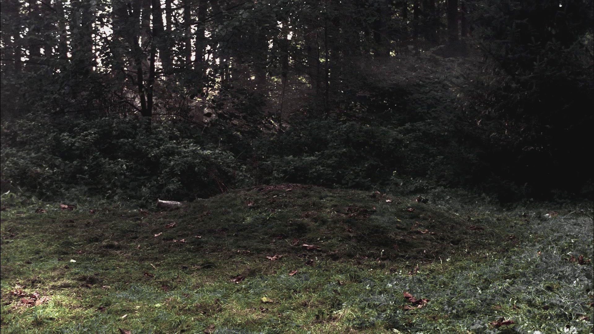 SPN_0588.jpg