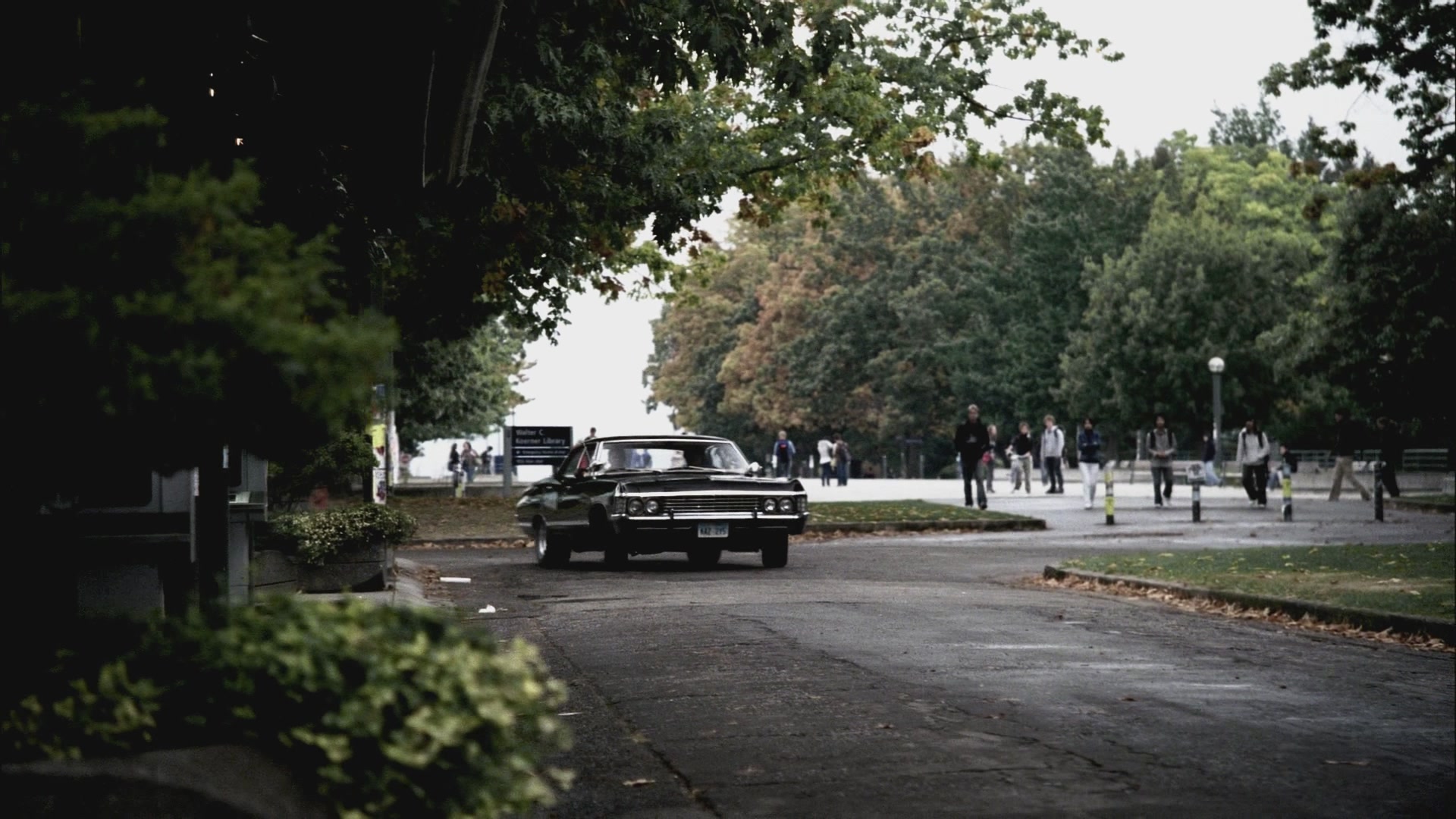 SPN_0629.jpg