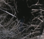 SPN_0026.jpg
