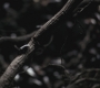 SPN_0032.jpg