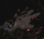 SPN_0035.jpg