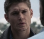SPN_0123.jpg