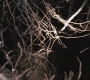 SPN_0158.jpg