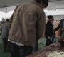 SPN_0302.jpg