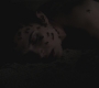 SPN_0427.jpg