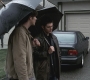 SPN_0466.jpg