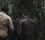 SPN_0550.jpg