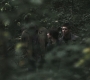SPN_0552.jpg