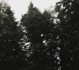 SPN_0574.jpg