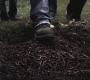 SPN_0601.jpg