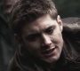 SPN_0617.jpg