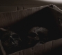 SPN_0635.jpg