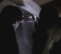 SPN_0978.jpg