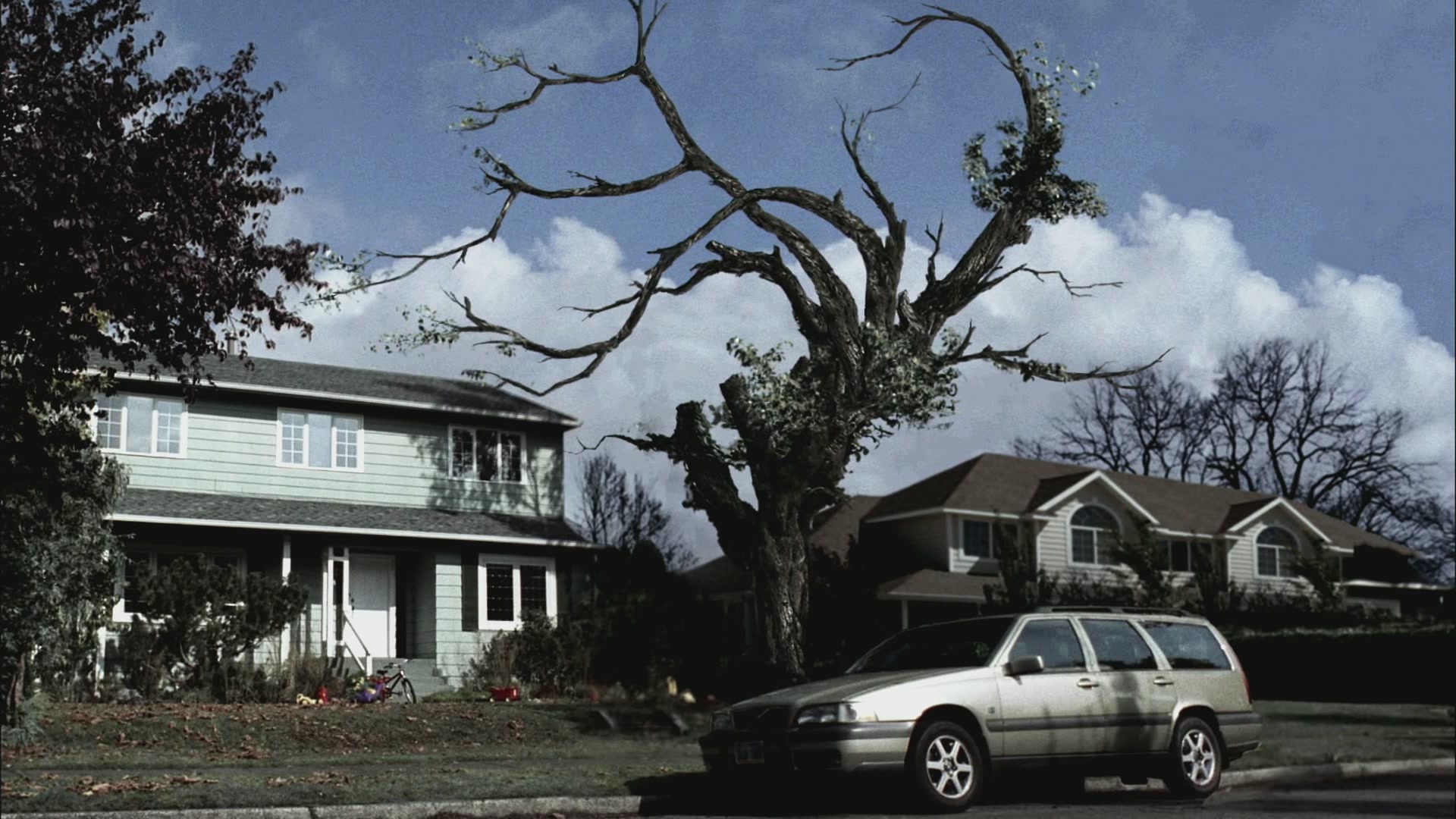 SPN_0238.jpg