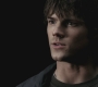 SPN_0303.jpg