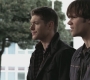 SPN_0388.jpg
