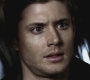 SPN_0567.jpg