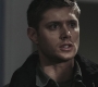 SPN_0740.jpg