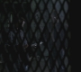 SPN_0259.jpg