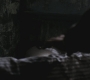 SPN_0572.jpg