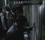 SPN_0734.jpg