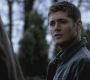 SPN_1136.jpg