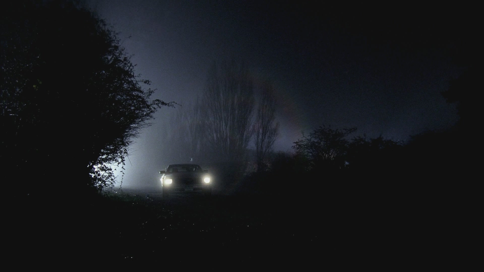 SPN_0029.jpg