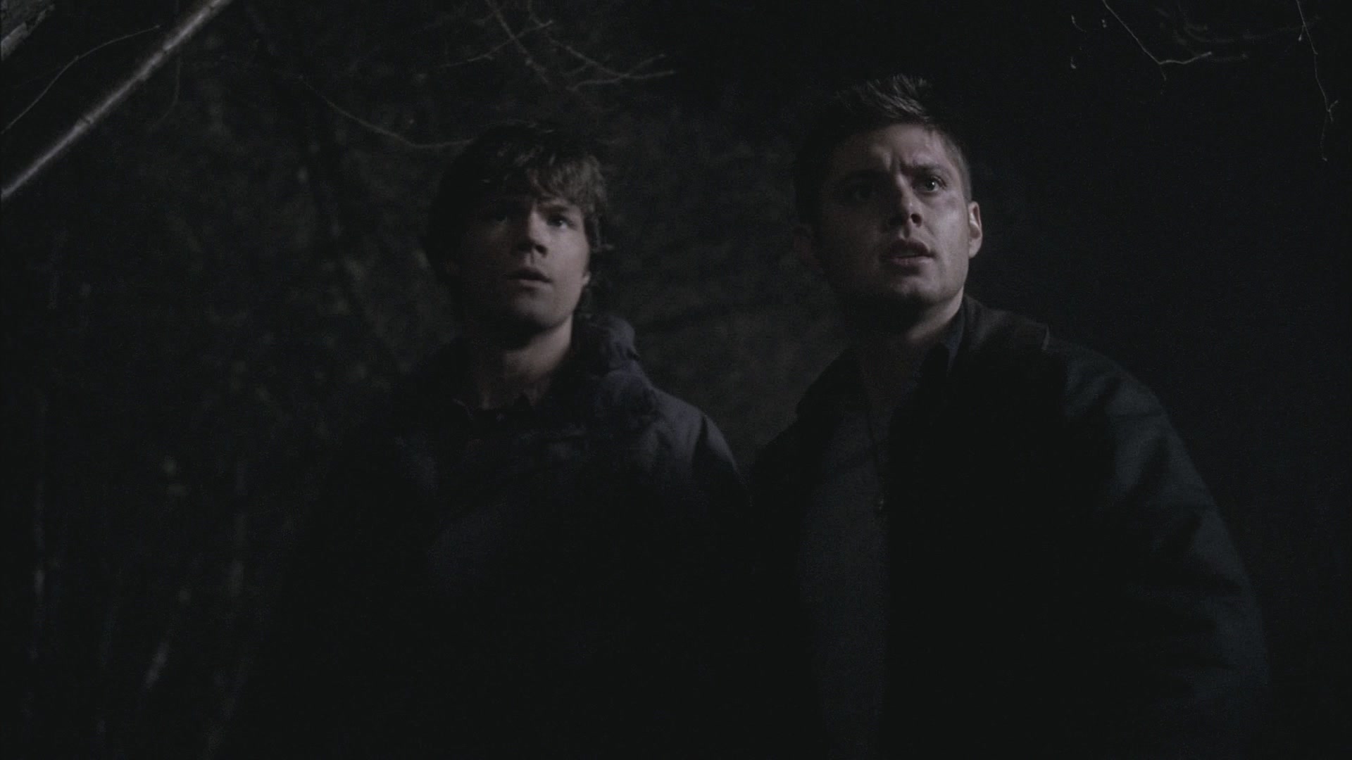 SPN_1193.jpg